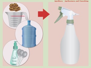 5. Pour the mixture into a large squirt bottle. Shake the solution inside the bottle once more to combine it further.
